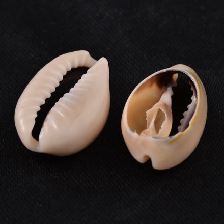 Cowrie schelpjes open kralen knoop armbandjes maken ibiza style macramé