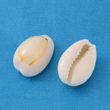 Schelp kralen cowrie hangers