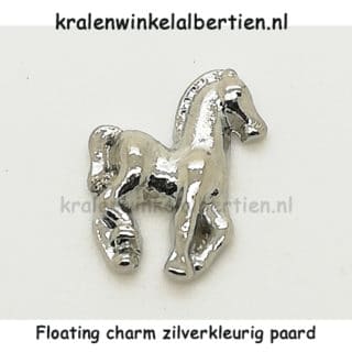 Paarden cabochons charms sieraden maken epoxy memorie lockets sieraden