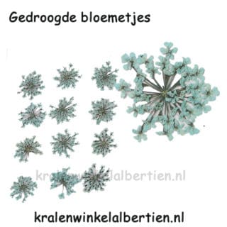 Gedroogde kleine bloemetjes mint sieraden maken resin art