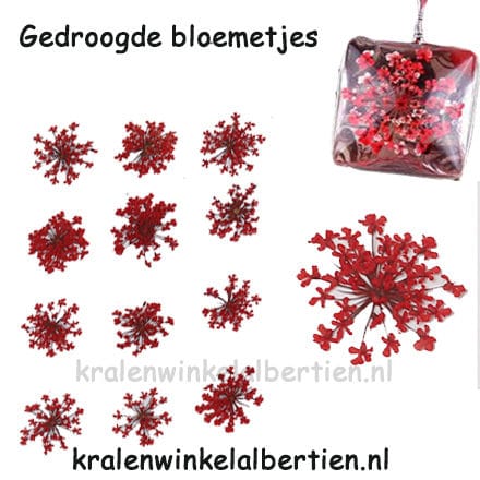 Droog bloemen klein sieraden maken rood epoxy giethars sieraden maken