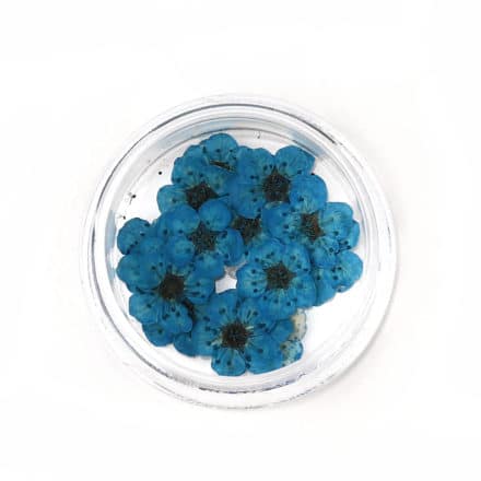 Blauwe droog bloemen resin art sieraden zelf maken