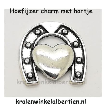 Hoefijzertje charm memory lockets zilver hartje