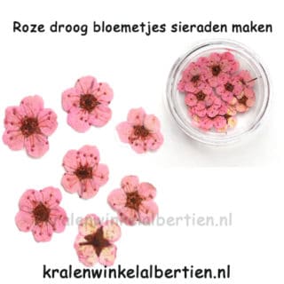 Gedroodgde bloemen roze sieraad maken resin art epoxy giet hars