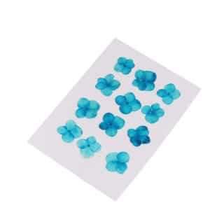 Droog bloemetjes blauw sieraden maken hortensia