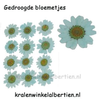 Gedroogde bloemetjes mint groen sieraden maken