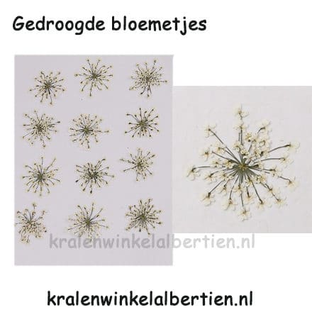 Droog bloem wit sieraad maken hanger epoxy giethars