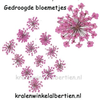 Bloemen droog roze resin art sieraden maken epoxy giethars