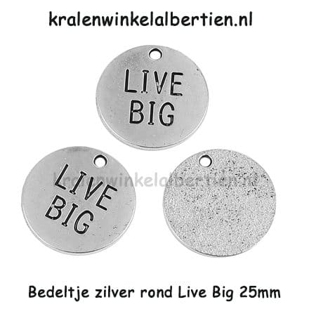 Bedeltjes rond 25mm groot zilverkleurig live big