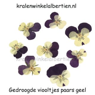 Gedroogd bloemetje viooltje geel paars sieraden maken resin epoxy