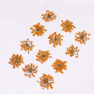 Droog bloemen oranje sieraden zelf maken DIY epoxy giethars resin art