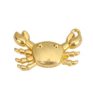 Gouden krabbetjes bedel Ibiza armbandjes elastisch lint zelf maken oorbellen