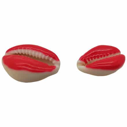 Open cowrie schelpjes rood