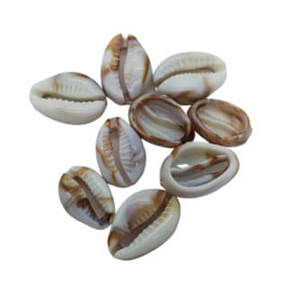 Open cowrie schelpkralen kunststof