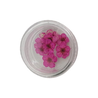 Droogbloemetjes roze klein resin art sieraad zelf maken epoxy