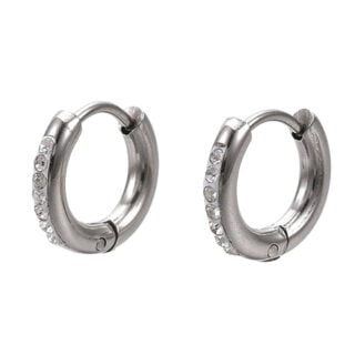 RVS oorbelletjes rond strass steentjes zilveren