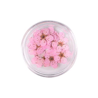 Gedroogde bloemen klein soft pink resin art