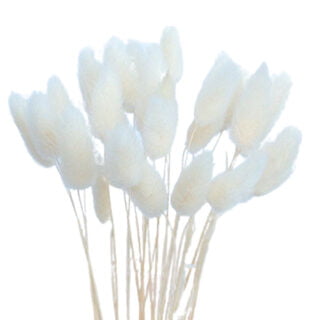 Witte droog bloemetjes pluimpjes resin art epoxy