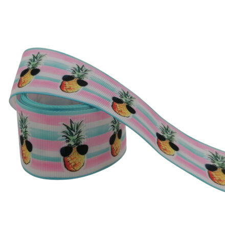 Grosgrain lint 4cm breed ananas zonnebril regenboog