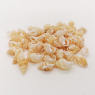 Schelpjes klein 10 gram