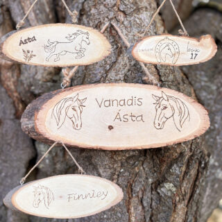 Kinderfeestje stalbordjes maken houtbranden